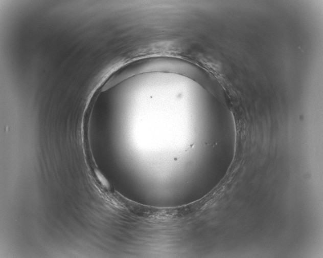 X0000066990148200603271323