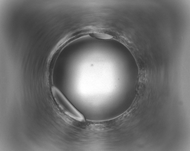 X0000066990150200603271323