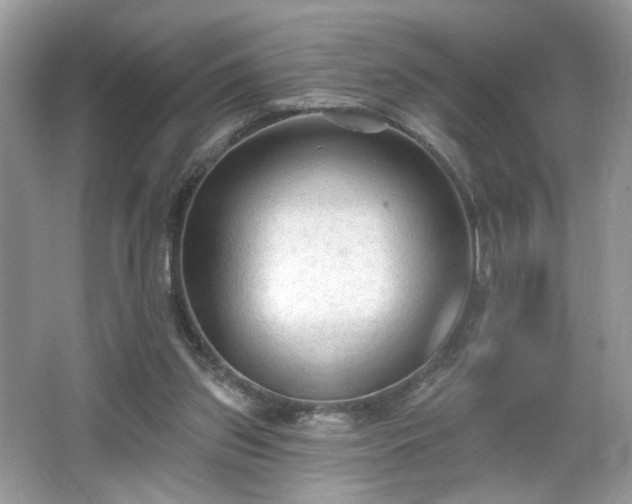X0000066990157200603271323
