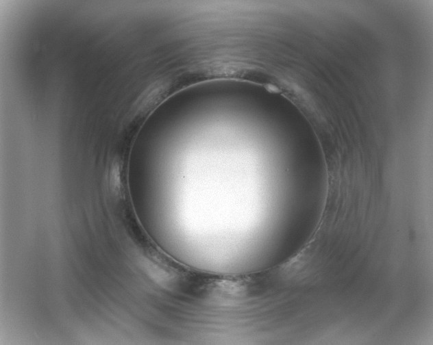 X0000066990166200603271323