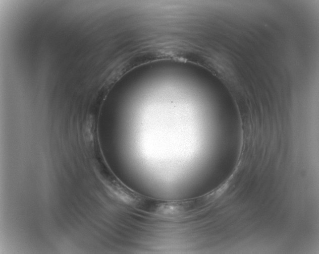 X0000066990174200603271323