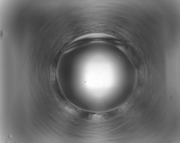 X0000066990180200603271324