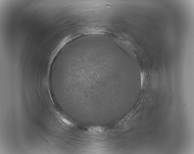 X0000066990195200603271323