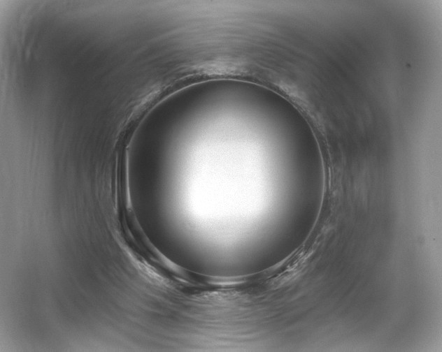 X0000066990201200603271323