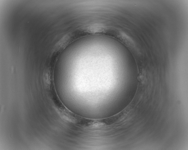 X0000066990210200603271323
