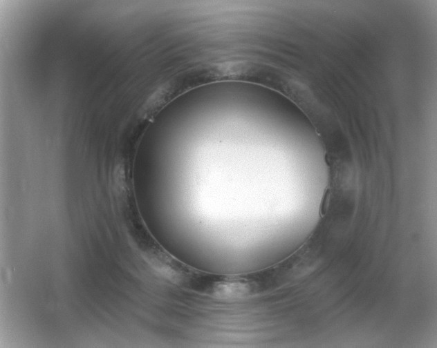 X0000066990220200603271323