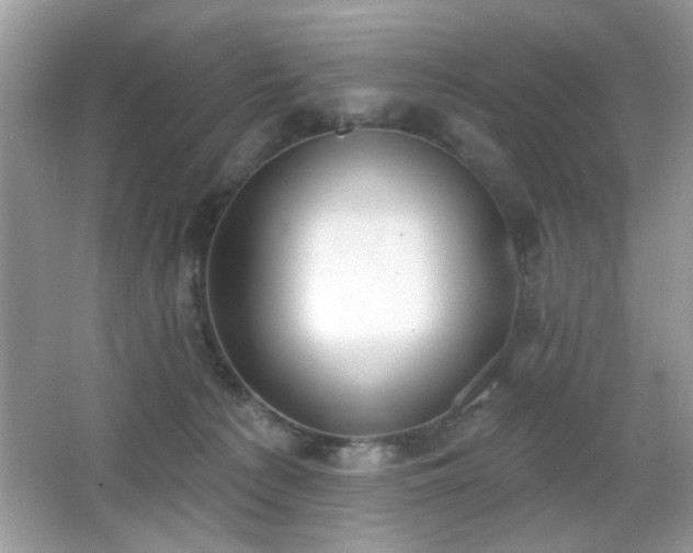 X0000066990225200603271322