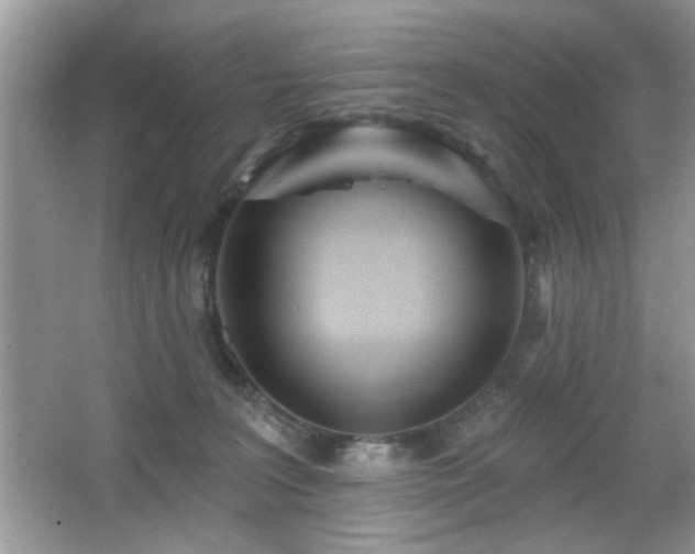 X0000066990227200603271322