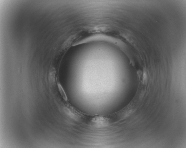 X0000066990231200603271322