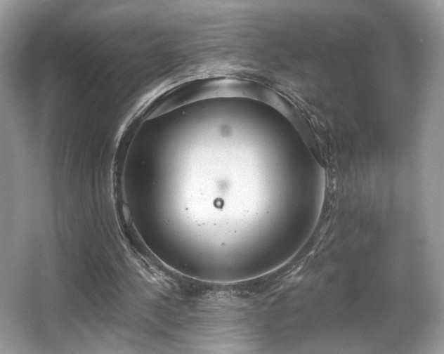 X0000066990244200603271321