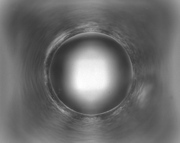 X0000066990245200603271321
