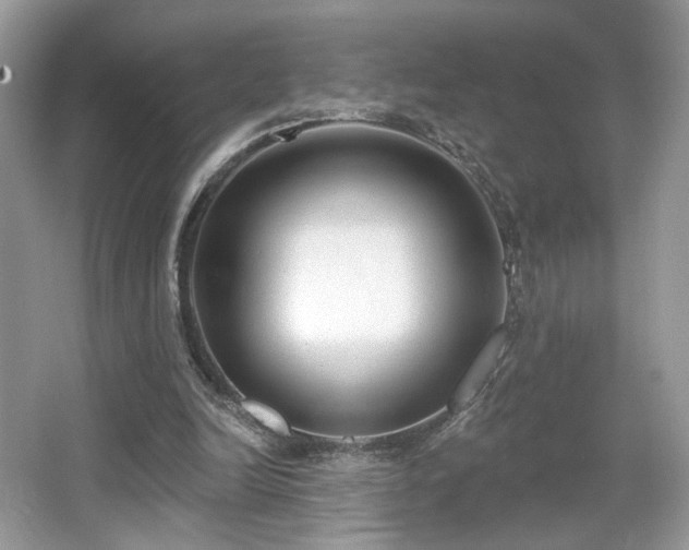 X0000066990246200603271321