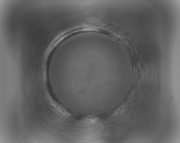 X0000066990247200603271321