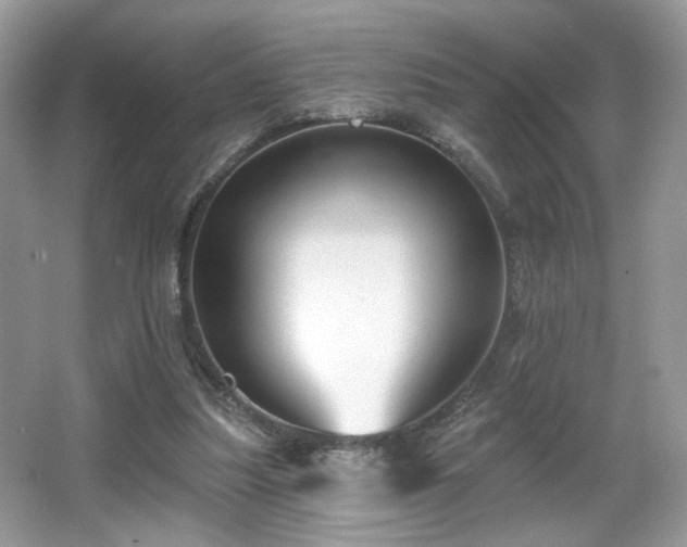 X0000066990251200603271322