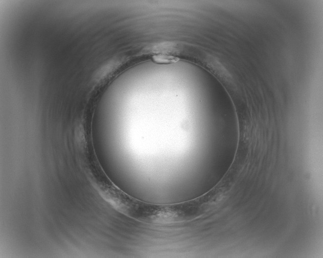 X0000066990256200603271322