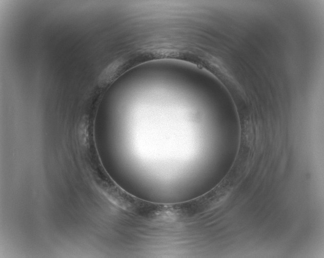 X0000066990259200603271322