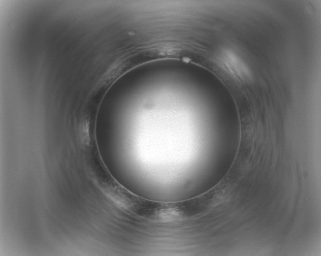 X0000066990262200603271322