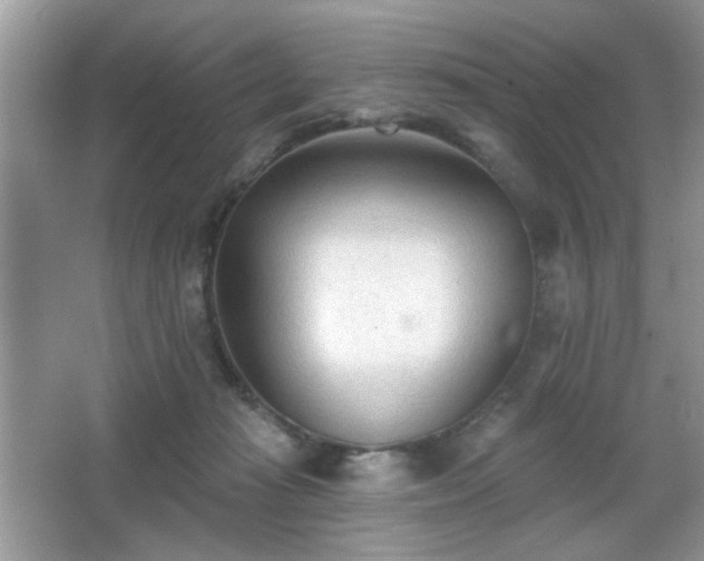 X0000066990269200603271322