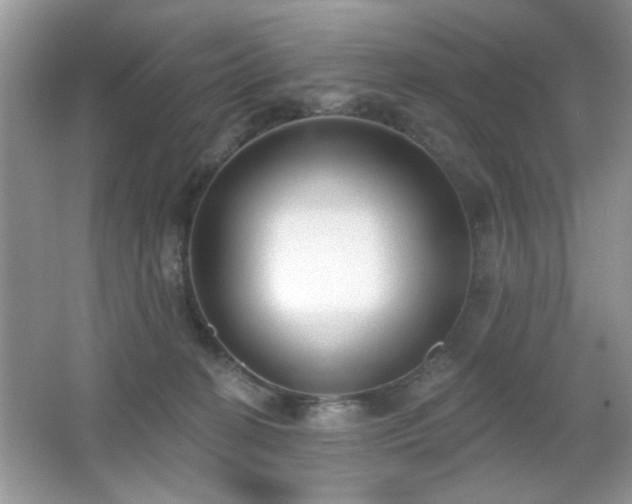 X0000066990274200603271322