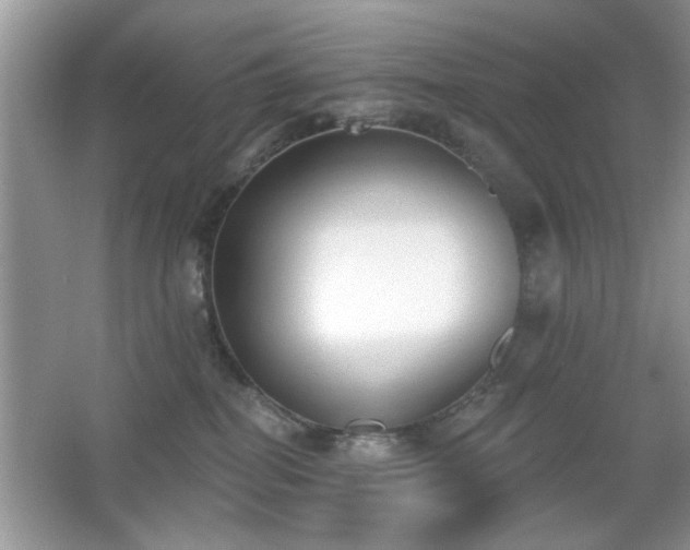 X0000066990282200603271322