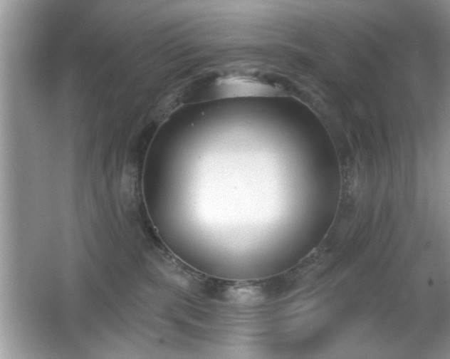 X0000066990283200603271322