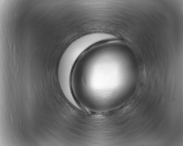 X0000066990287200603271322