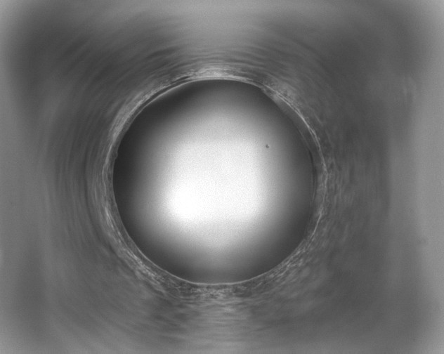 X0000066990289200603271321