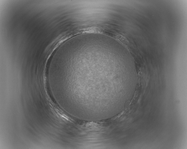 X0000066990290200603271321