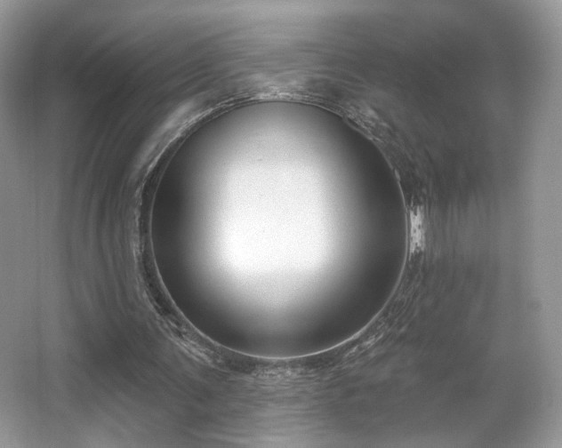 X0000066990291200603271321