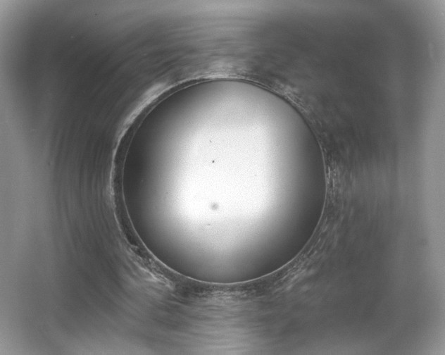 X0000066990292200603271321