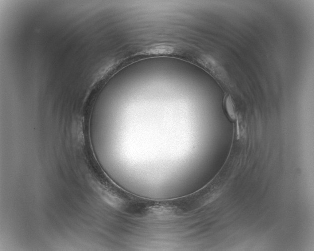X0000066990300200603271321