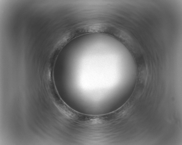 X0000066990310200603271321