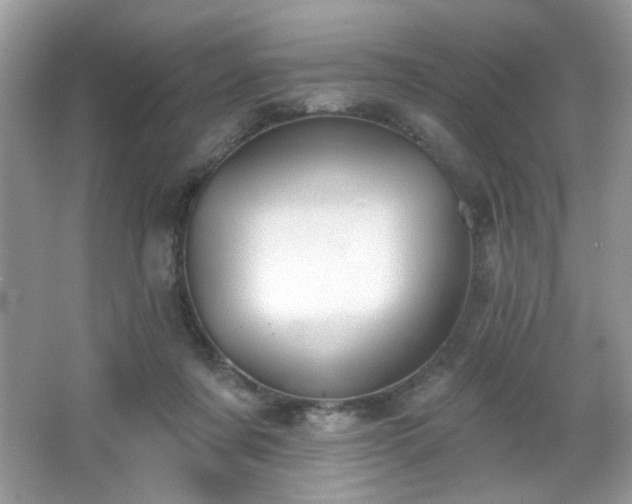X0000066990311200603271321