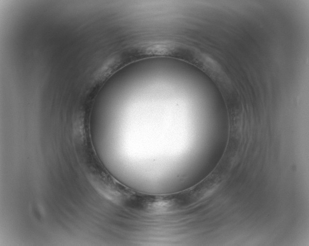 X0000066990312200603271321