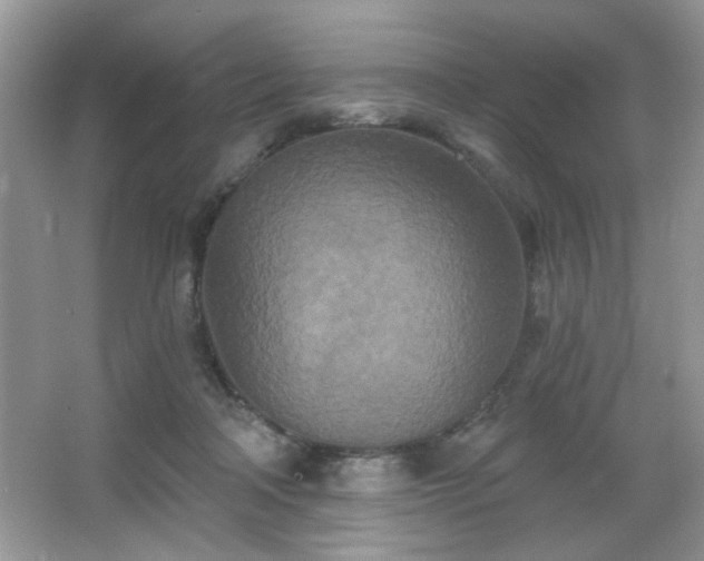 X0000066990314200603271321
