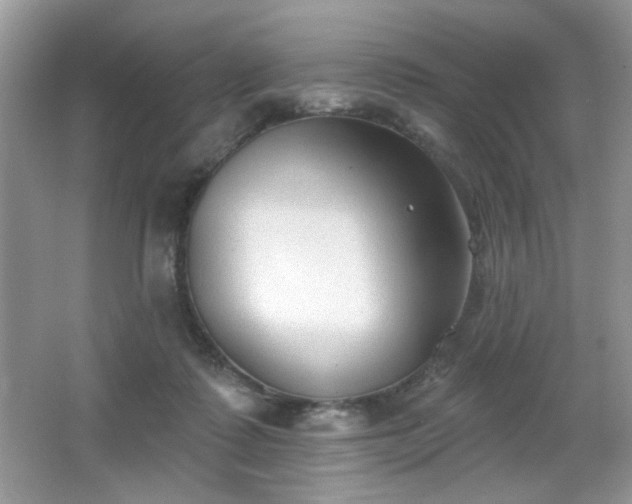 X0000066990315200603271321