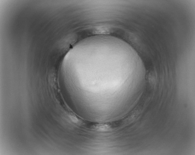 X0000066990322200603271321