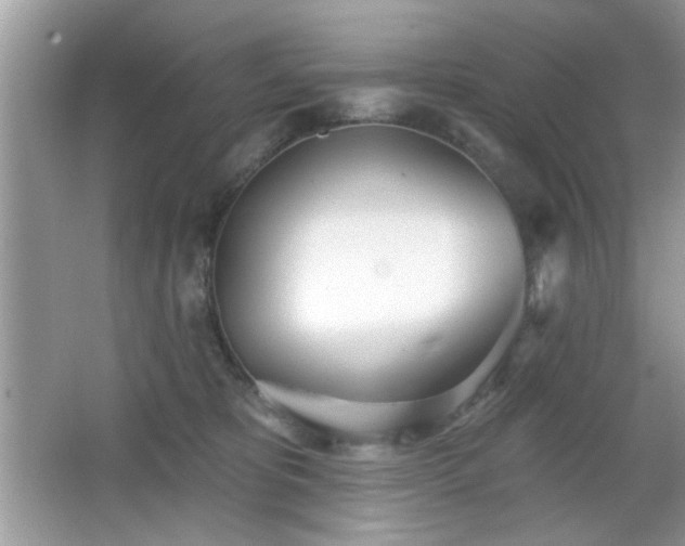 X0000066990325200603271321