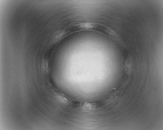 X0000066990330200603271321