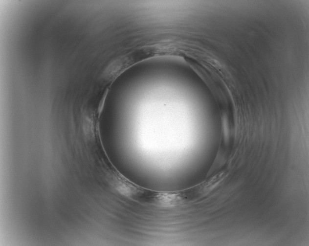 X0000066990333200603271321