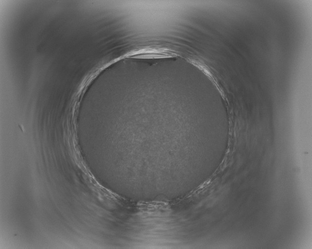 X0000066990337200603271320