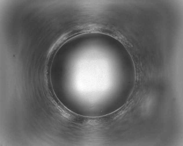 X0000066990341200603271320