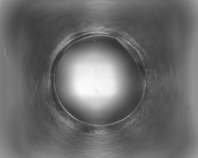 X0000066990344200603271320
