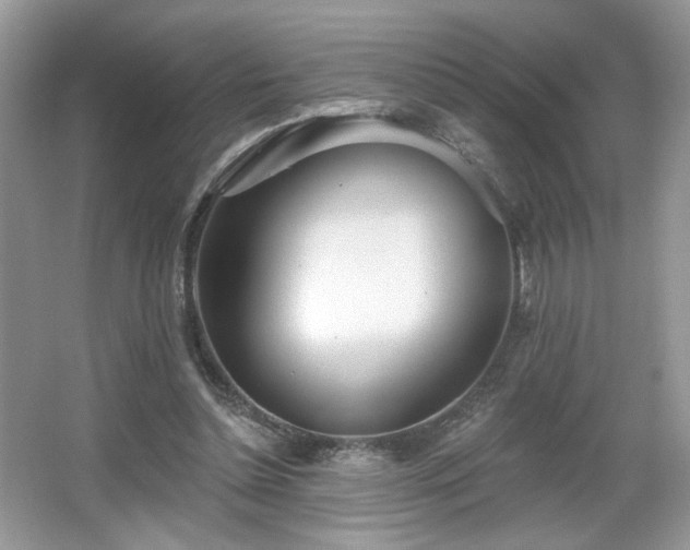 X0000066990348200603271320