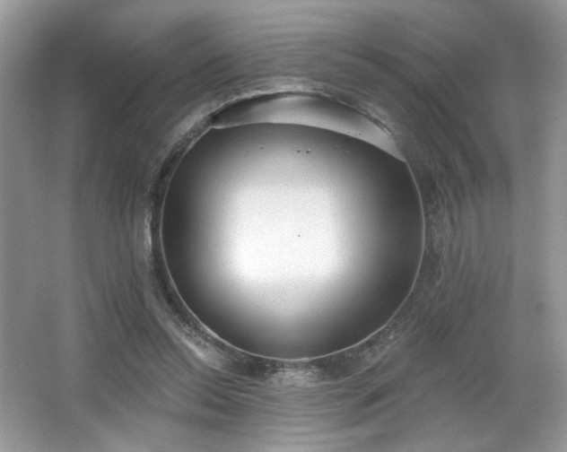 X0000066990350200603271320