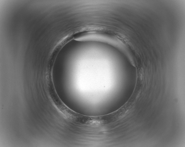 X0000066990352200603271320
