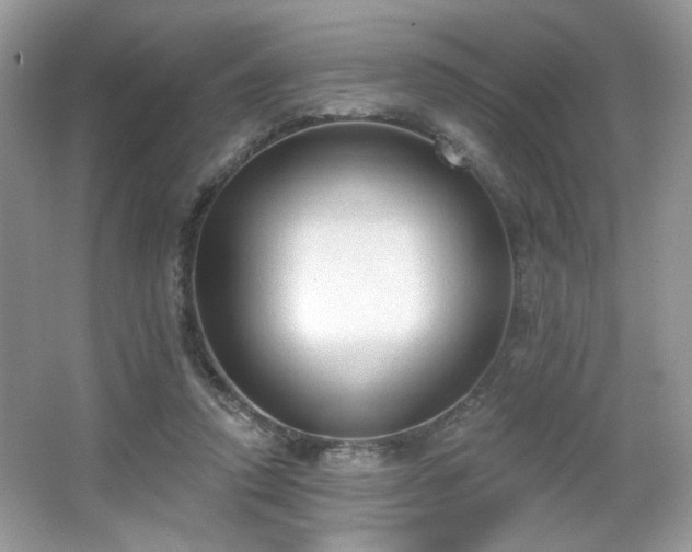 X0000066990354200603271320