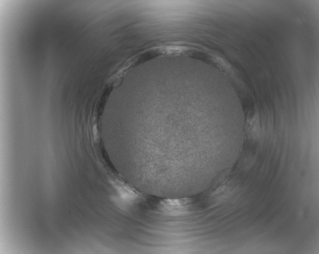 X0000066990381200603271320