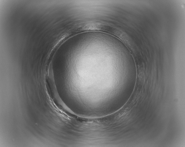 X0000066990386200603271320