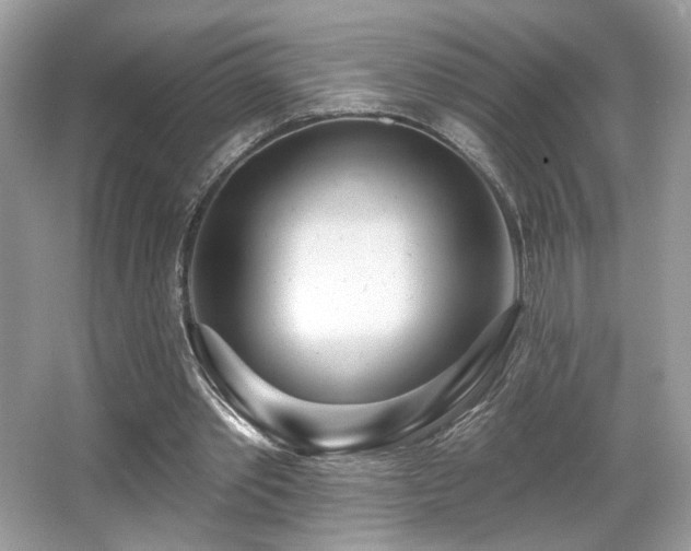 X0000066990389200603271320